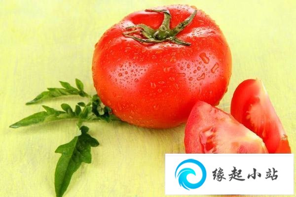 西红柿的功效与作用 吃西红柿的好处