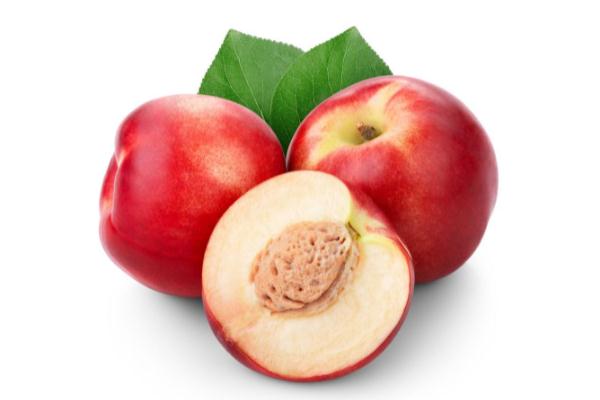 油桃的功效和作用 油桃是热性还是凉性水果