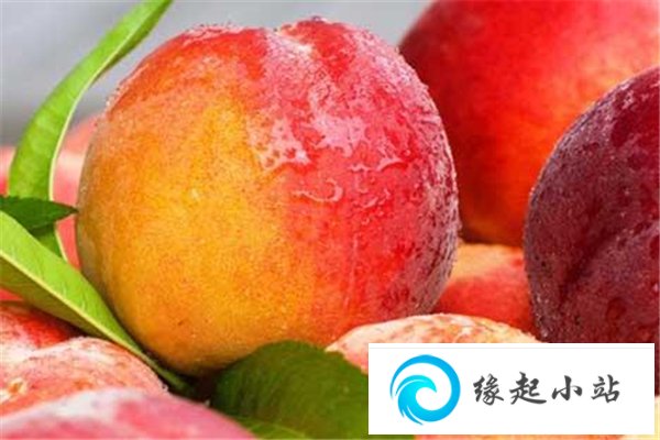 桃子糖尿病人可以吃吗 桃子可以空腹吃吗