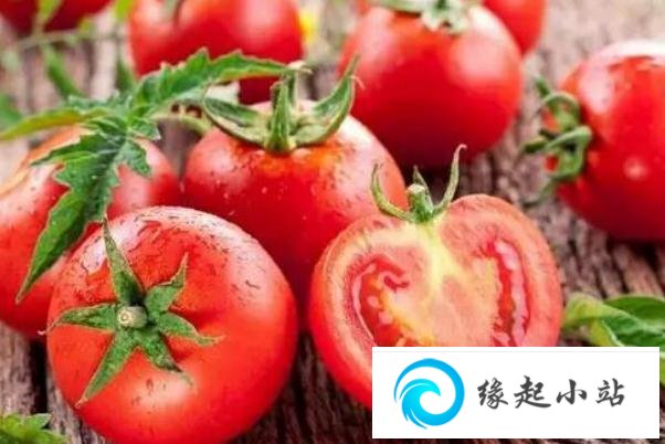 西红柿生吃的功效与作用 西红柿生吃的好处