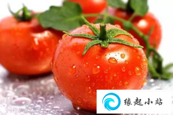 西红柿是凉性还是热性的 西红柿属于酸性还是碱性