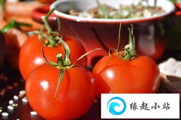 西红柿是凉性还是热性的 西红柿属于酸性还是碱性