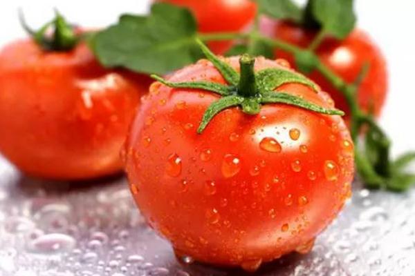 西红柿是凉性还是热性的 西红柿属于酸性