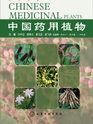 中国药用植物（二十五）_百科
