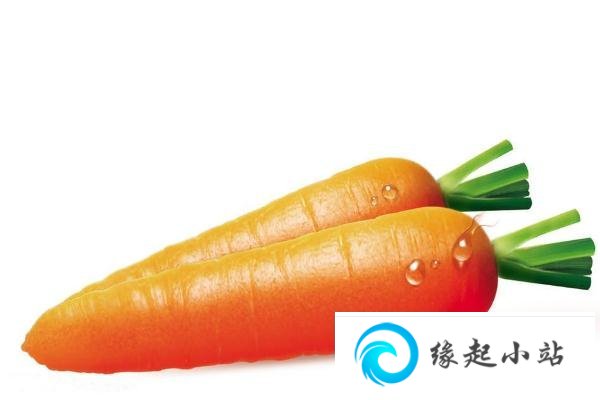 胡萝卜的营养成分 胡萝卜怎么吃才有营养