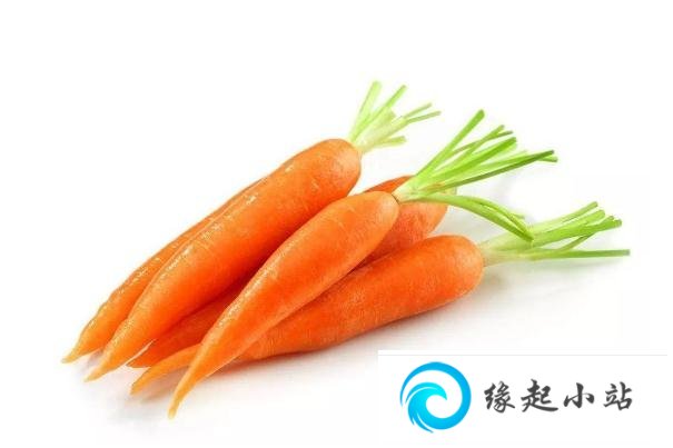 胡萝卜有几种颜色 胡萝卜的常见品种