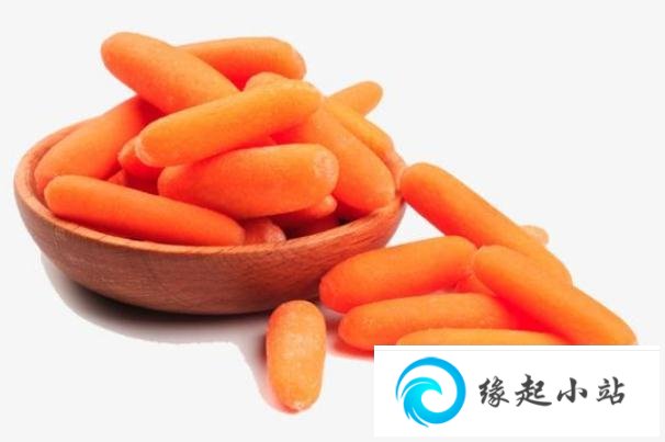生吃胡萝卜可以减肥吗 生吃胡萝卜的危害