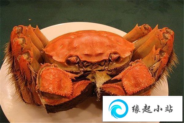 螃蟹和什么一起吃会中毒 吃螃蟹去掉哪些部位