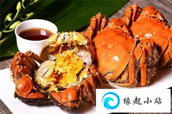 螃蟹蘸料怎么调 螃蟹的营养价值和功效