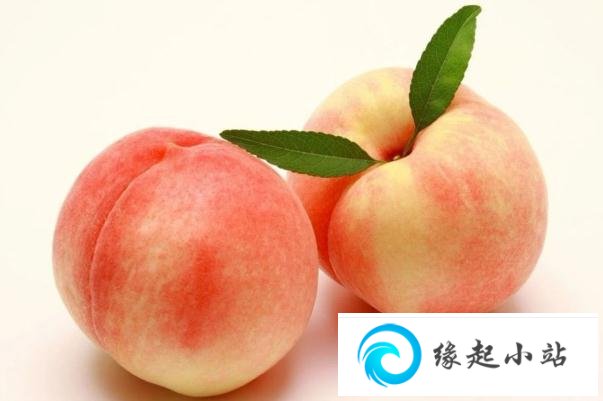 桃子的功效与作用营养 桃子是凉性的还是热性的
