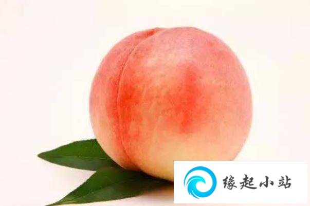 桃子的功效与作用营养 桃子是凉性的还是热性的