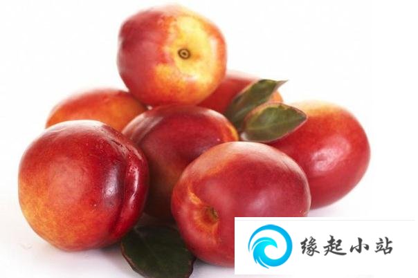 油桃的功效和作用 油桃是热性还是凉性水果