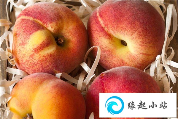 桃子过敏体质能吃吗 为什么吃桃子过敏