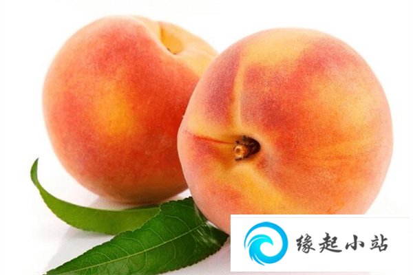 桃子过敏体质能吃吗 为什么吃桃子过敏
