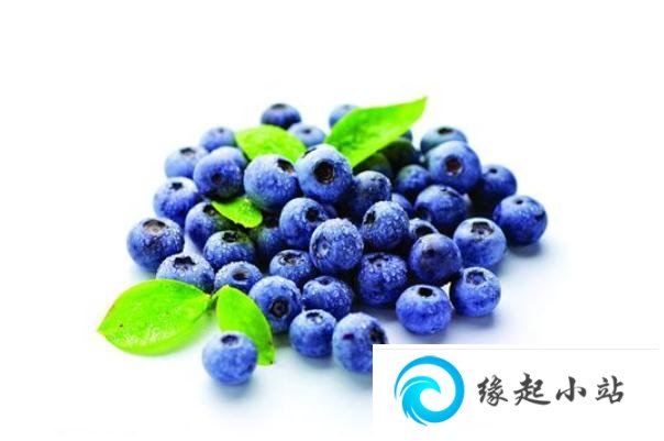 蓝莓有啥营养 蓝莓有什么用