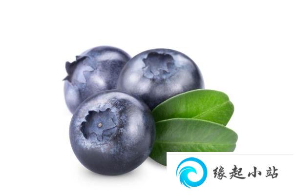 蓝莓可以放几天 蓝莓放冰箱可以放多久