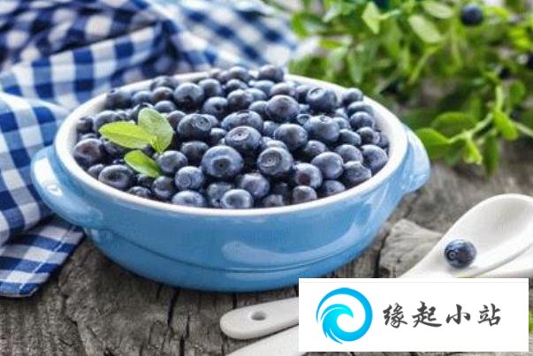 蓝莓可以放几天 蓝莓放冰箱可以放多久