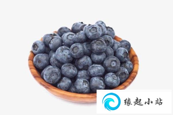蓝莓孕妇一天吃多少为宜 蓝莓孕妇吃了的功效与作用
