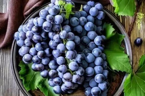 葡萄有维生素c高吗 葡萄有激素吗