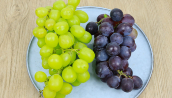 提子和葡萄的区别有哪些_提子和葡萄的区